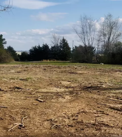 4595 Ranch Rd, Bee Branch, AR 72013 photo 3