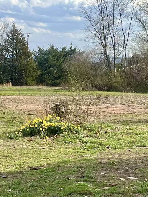 4595 Ranch Rd, Bee Branch, AR 72013 photo 4