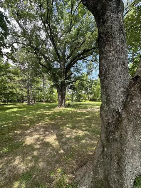 Other - 205 3rd Ave, Murfreesboro, AR 71958 photo 43 of 43