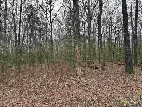 lot17 Woodland, Greers Ferry, AR 72067