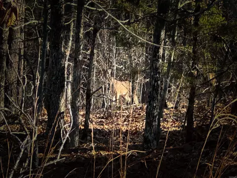 2 High Point Dr, Mayflower, AR 72106 photo 7