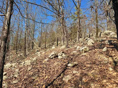 2 High Point Dr, Mayflower, AR 72106 photo 6