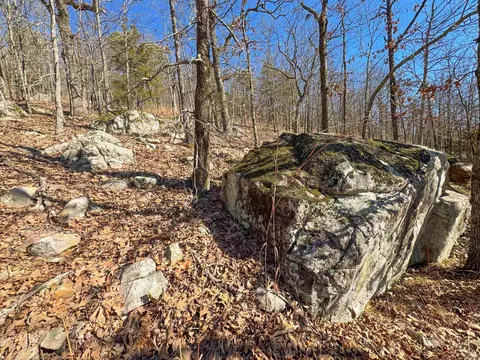 2 High Point Dr, Mayflower, AR 72106 photo 2