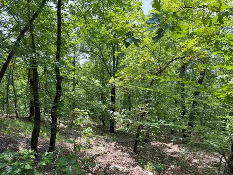 2 High Point Dr, Mayflower, AR 72106 photo 10