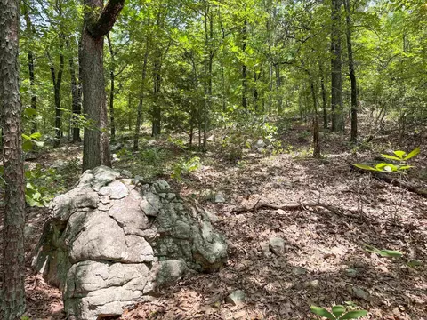 2 High Point Dr, Mayflower, AR 72106 photo 8