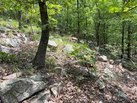 2 High Point Dr, Mayflower, AR 72106 photo 12