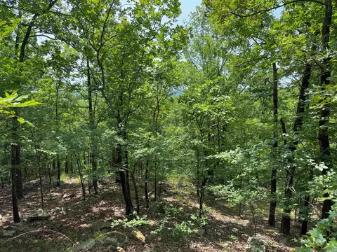 2 High Point Dr, Mayflower, AR 72106 photo 14