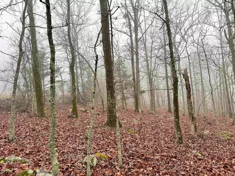 11 High Point Dr, Mayflower, AR 72106 photo 5