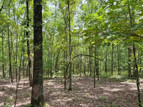 11 High Point Dr, Mayflower, AR 72106 photo 19
