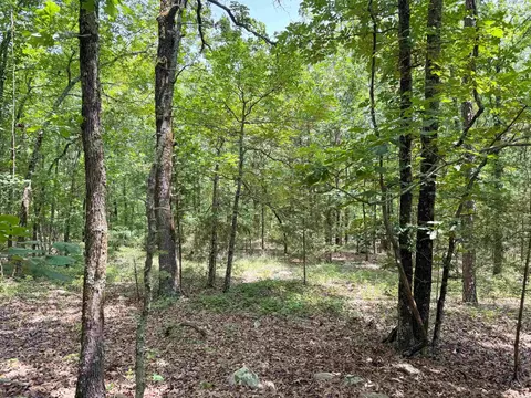 11 High Point Dr, Mayflower, AR 72106 photo 20
