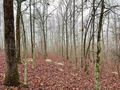 11 High Point Dr, Mayflower, AR 72106 photo 7