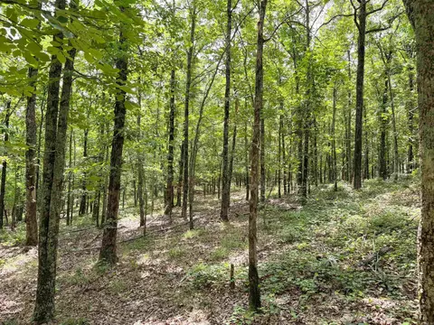 11 High Point Dr, Mayflower, AR 72106 photo 17