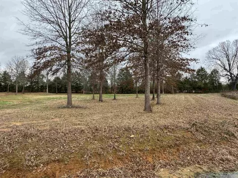 27 River Birch Dr # R, Guy, AR 72061