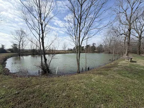 View/Area - 620 Dock St, Rector, AR 72461 photo 6 of 6