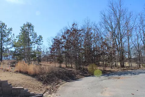 22 Algonquin Ct, Cabot, AR 72023 photo 4