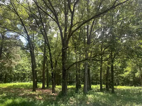 365 Skinner Rd, Austin, AR 72007