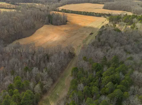264 Mill Bridge Rd, Damascus, AR 72039 photo 5
