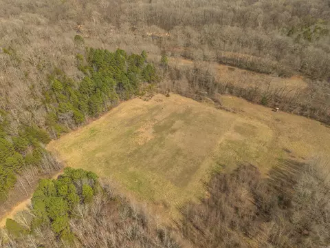 264 Mill Bridge Rd, Damascus, AR 72039 photo 6