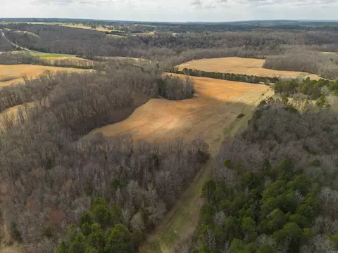 264 Mill Bridge Rd, Damascus, AR 72039 photo 8