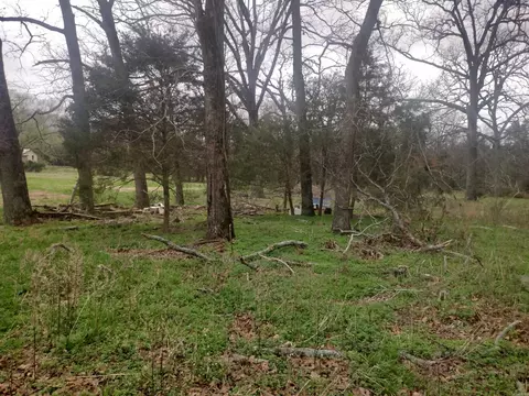 3 Arkansas 14, Mountain View, AR 72560 photo 9