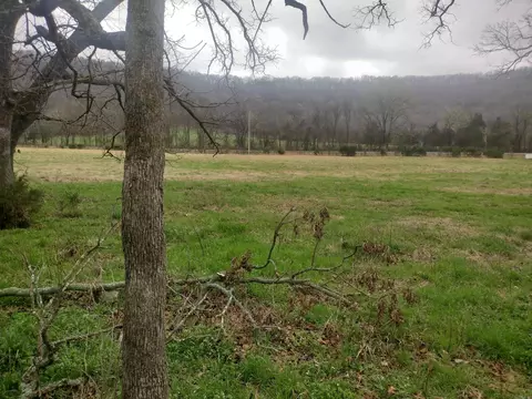 3 Arkansas 14, Mountain View, AR 72560 photo 8