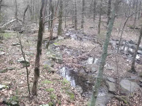 3 Arkansas 14, Mountain View, AR 72560 photo 3