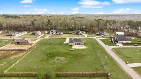 View/Area - 10118 Sanibel Loop, Alexander, AR 72002 photo 3 of 3