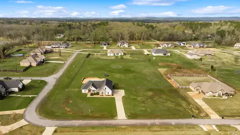 View/Area - 10118 Sanibel Loop, Alexander, AR 72002 photo 2 of 3