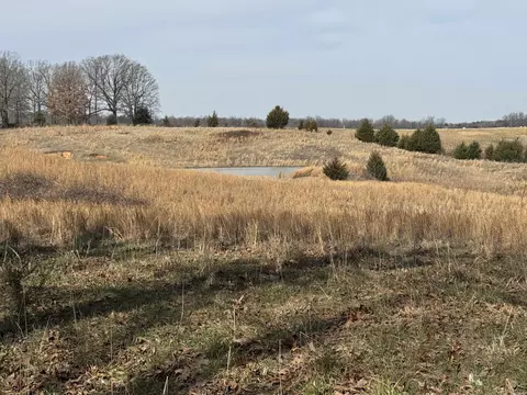0 Cr 472, Piggott, AR 72454 photo 5