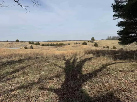 0 Cr 472, Piggott, AR 72454 photo 4