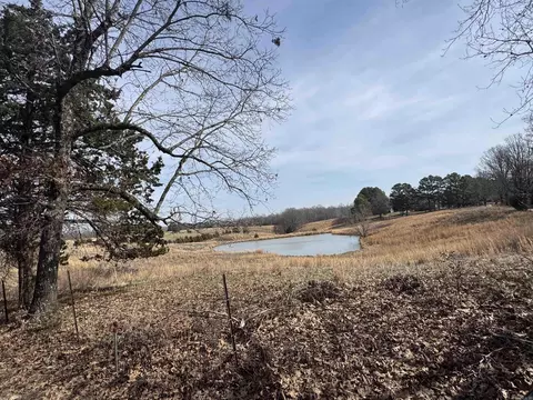 0 Cr 472, Piggott, AR 72454 photo 10