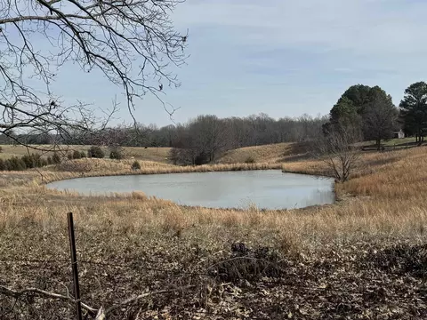 0 Cr 472, Piggott, AR 72454 photo 7