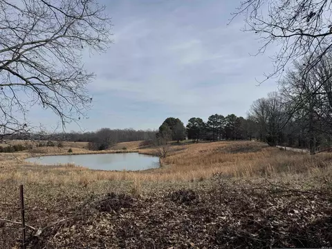 0 Cr 472, Piggott, AR 72454