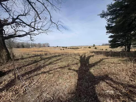 0 Cr 472, Piggott, AR 72454 photo 3