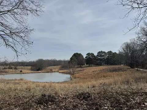 0 Cr 472, Piggott, AR 72454 photo 11