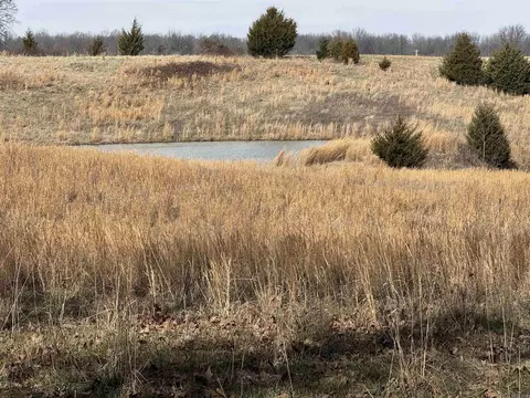 0 Cr 472, Piggott, AR 72454 photo 6