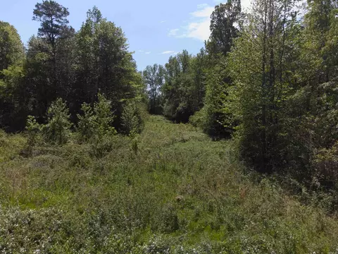 10 Acres Off Turner Rd, Rose Bud, AR 72137