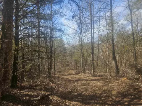 000 Fawn Rd, Big Flat, AR 72617