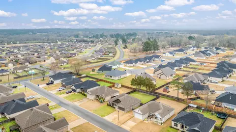 View/Area - 10 Clover Leaf Ln, Greenbrier, AR 72058 photo 5 of 5