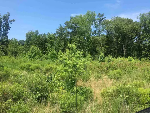 lot4 Donham Dr, Edgemont, AR 72044 photo 2