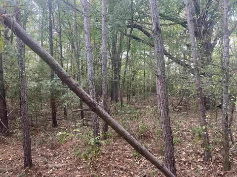 000 Middle Warren Rd, Pine Bluff, AR 71603 photo 4