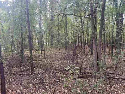 000 Middle Warren Rd, Pine Bluff, AR 71603 photo 2