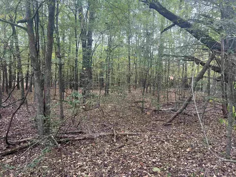 000 Middle Warren Rd, Pine Bluff, AR 71603 photo 3