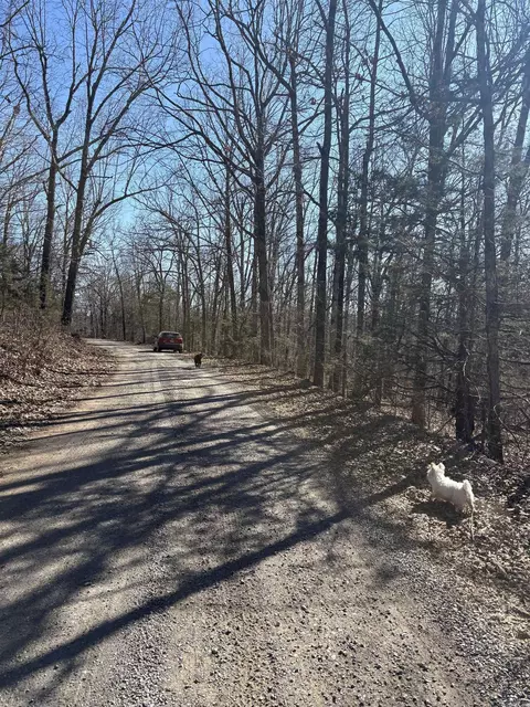 000 Fawn Rd, Harriet, AR 72639