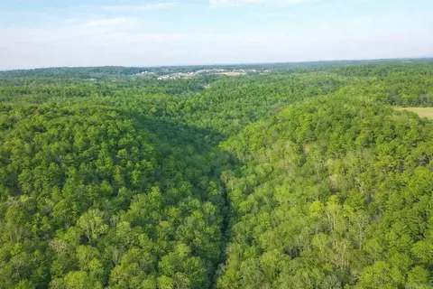 20 Acres, Pottsville, AR 72858