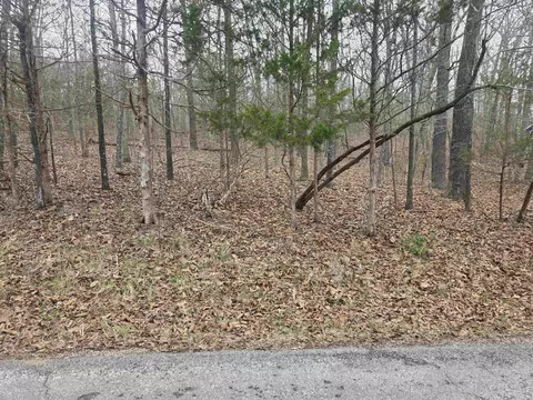 L3 B12 Spring Water Drive, Cherokee Village, AR 72529