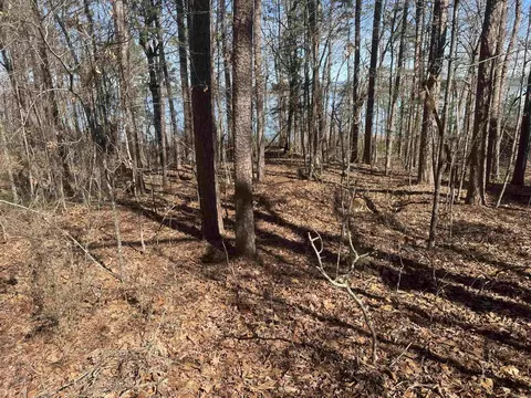 lot1 Kings Pl, Quitman, AR 72131 photo 3