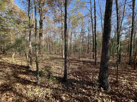 743 The Day Rd, Ash Flat, AR 72513 photo 10