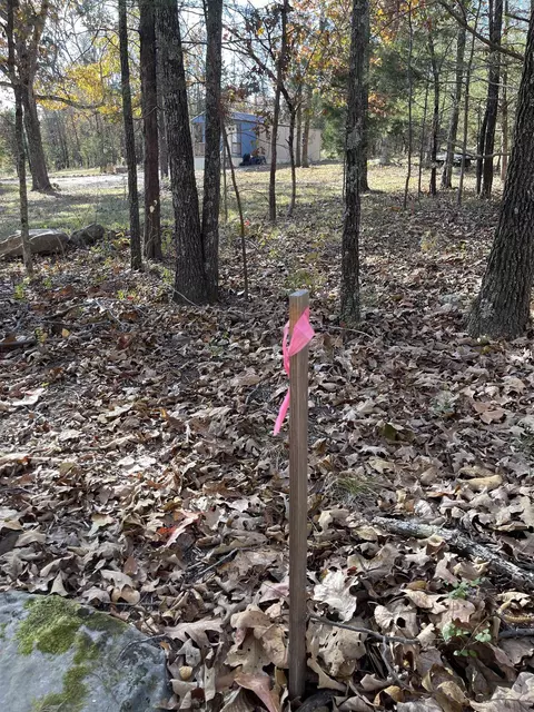 743 The Day Rd, Ash Flat, AR 72513 photo 38