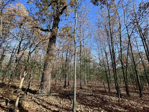 743 The Day Rd, Ash Flat, AR 72513 photo 6